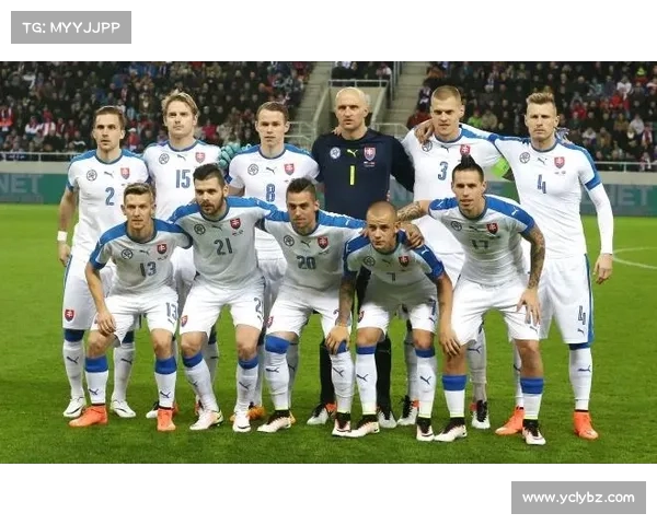 如何实时跟踪阿根廷国家队未来赛程安排与观看资讯更新入门全攻略