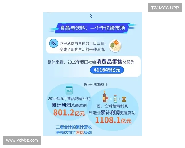 全面解析欧冠五大赛事级别你必须了解的关键内幕指南全攻略精要篇